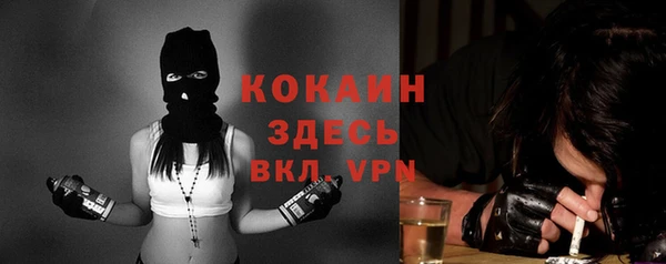 сатива Арсеньев