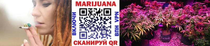 Бошки Шишки план Мытищи